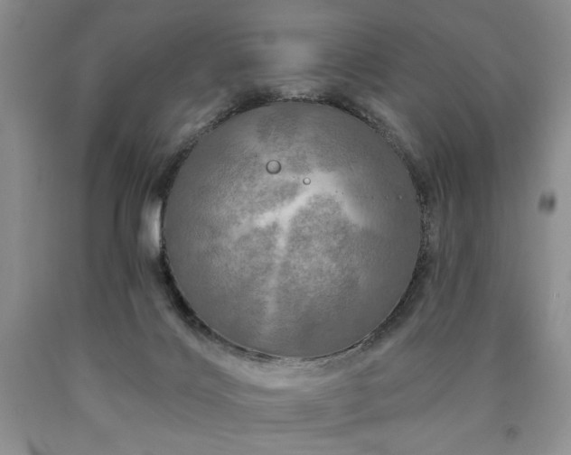 X0000090440028200707201302