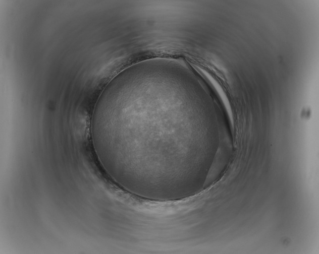 X0000090440029200707201302