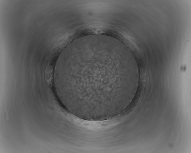 X0000090440030200707201302