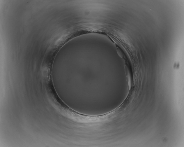 X0000090440031200707201302