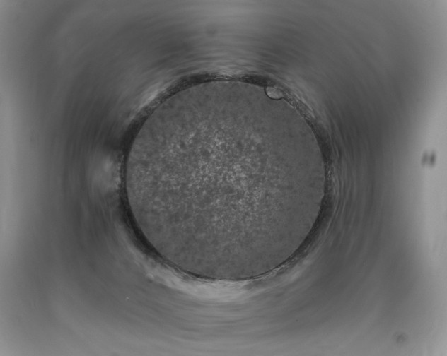 X0000090440032200707201302