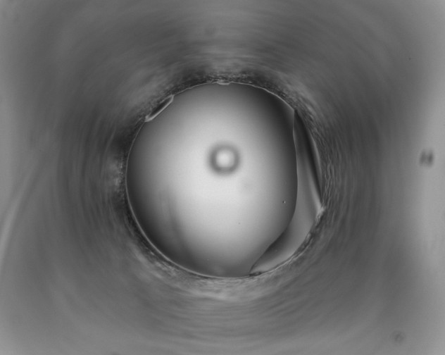 X0000090440033200707201302