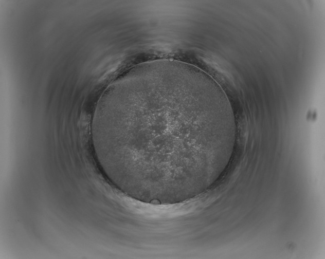 X0000090440034200707201302