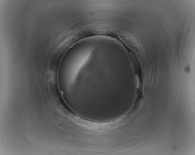 X0000090440035200707201302