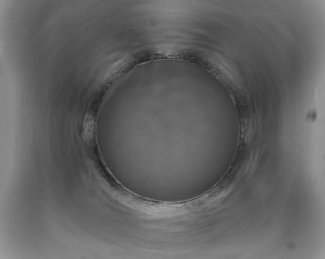 X0000090440036200707201302