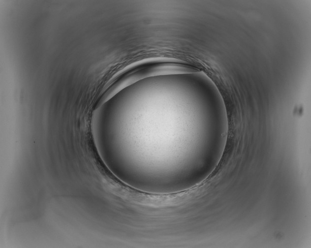 X0000090440037200707201302