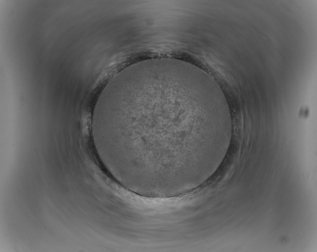 X0000090440038200707201302