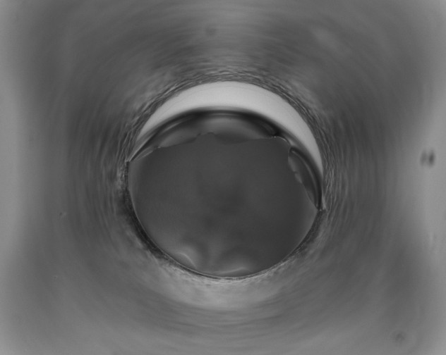 X0000090440039200707201302