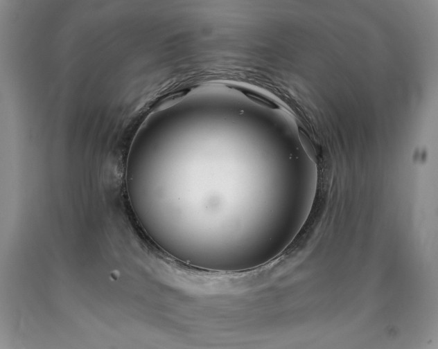 X0000090440040200707201302