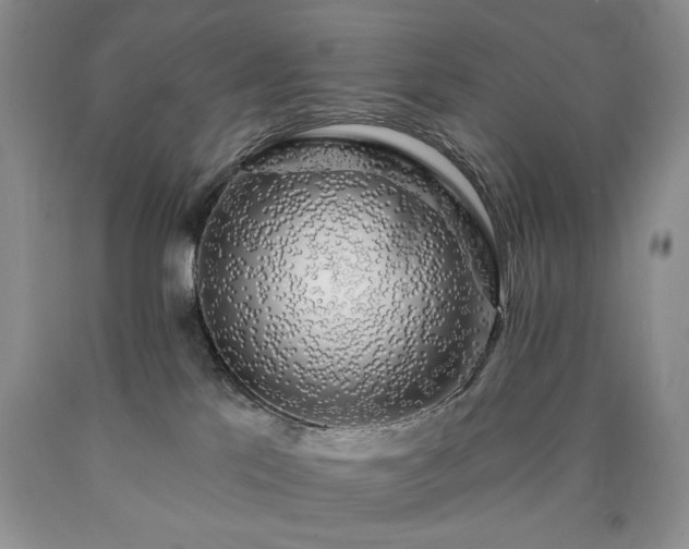 X0000090440041200707201302