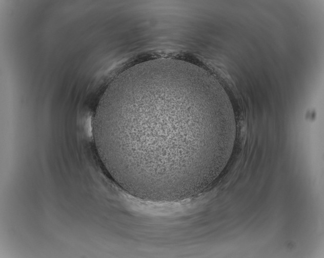 X0000090440042200707201302