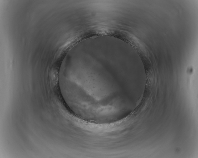 X0000090440043200707201302