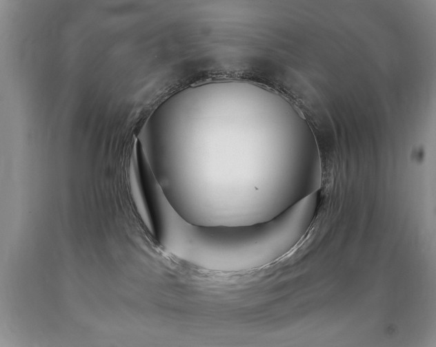 X0000090440045200707201302