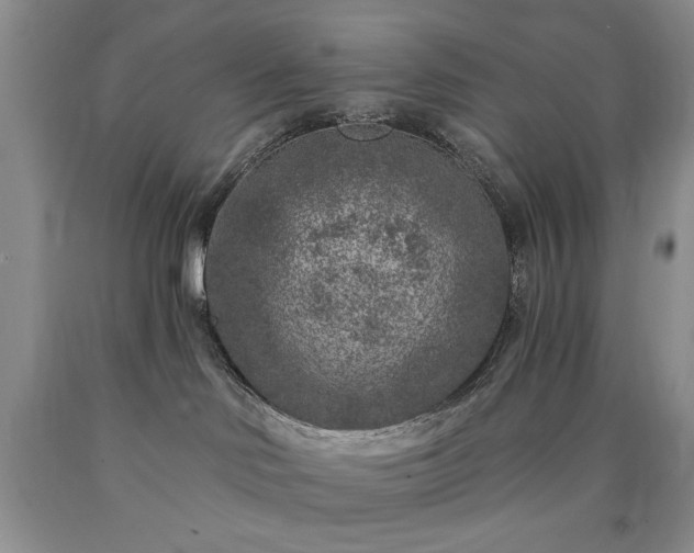 X0000090440046200707201302