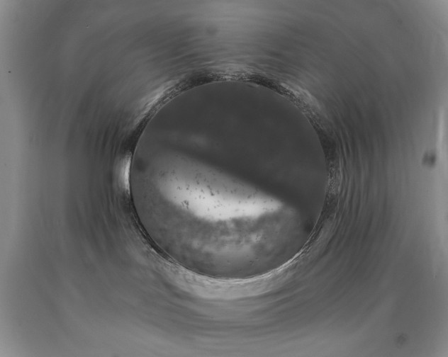 X0000090440047200707201302