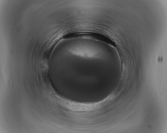 X0000090440048200707201302