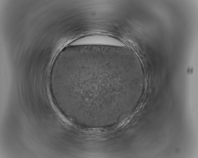 X0000090440049200707201301