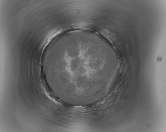 X0000090440050200707201301