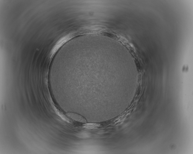 X0000090440051200707201301