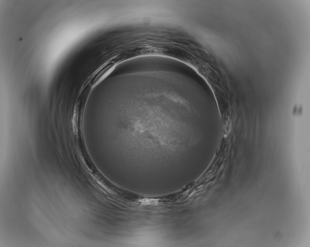 X0000090440052200707201301