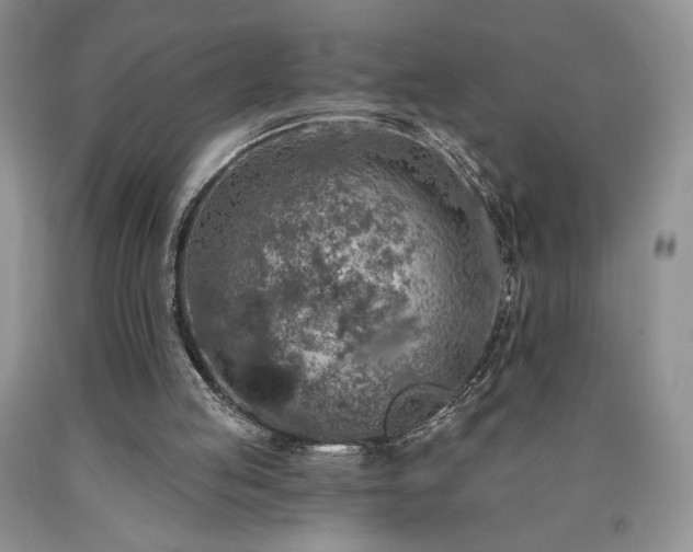 X0000090440053200707201301