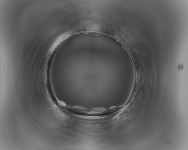 X0000090440054200707201302