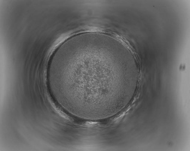 X0000090440055200707201302