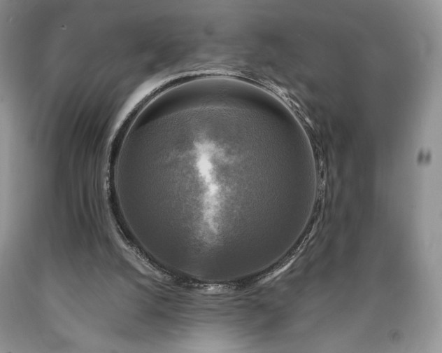 X0000090440056200707201302