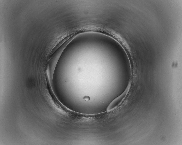 X0000090440057200707201302