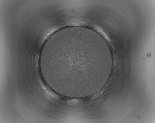 X0000090440058200707201302