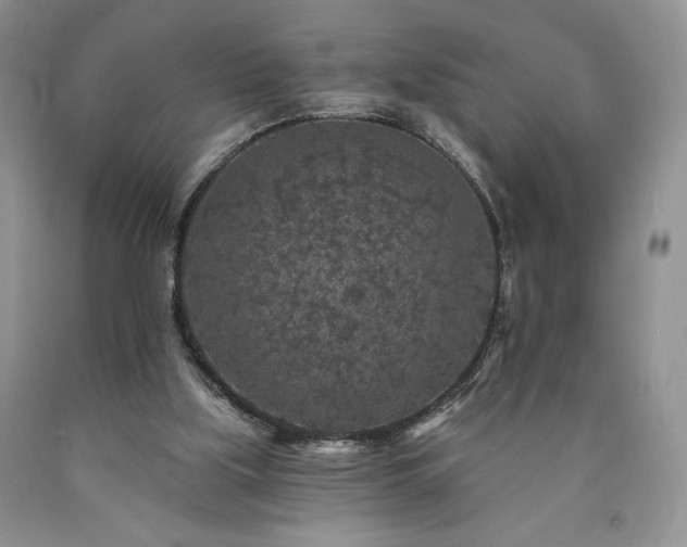 X0000090440059200707201302