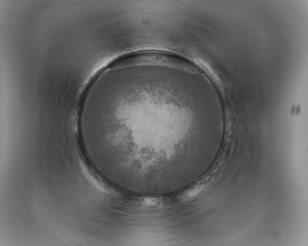 X0000090440060200707201302