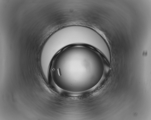 X0000090440061200707201302