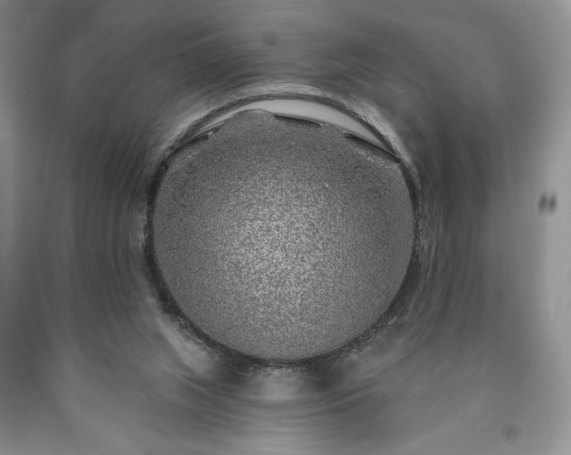 X0000090440063200707201302