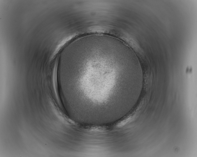 X0000090440064200707201302