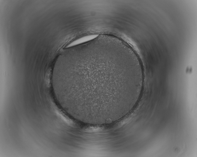 X0000090440065200707201302