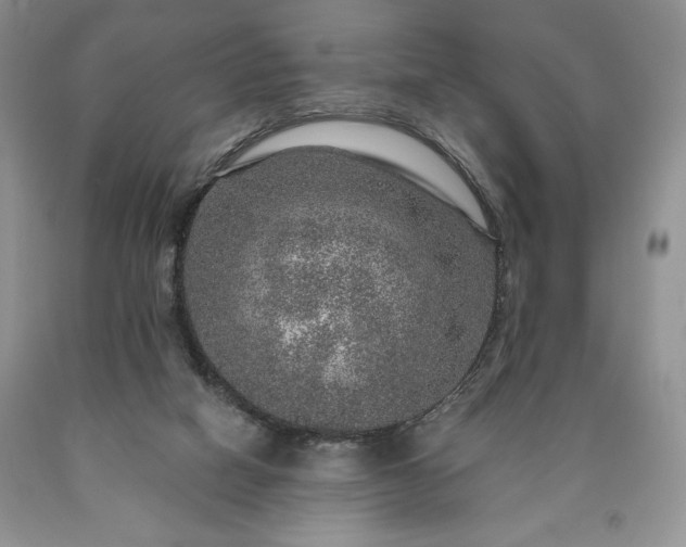 X0000090440066200707201302