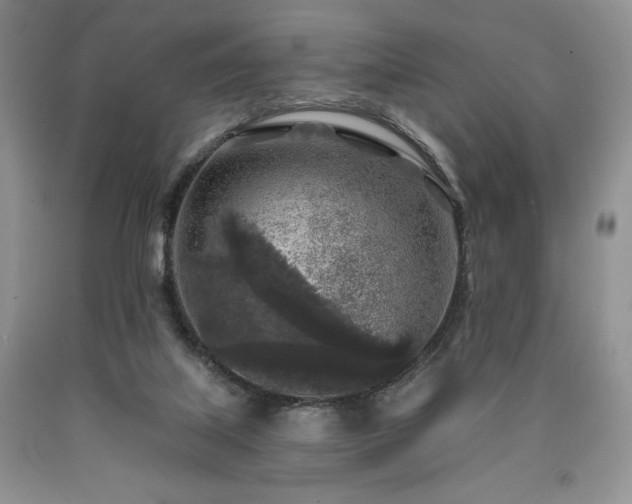 X0000090440067200707201302