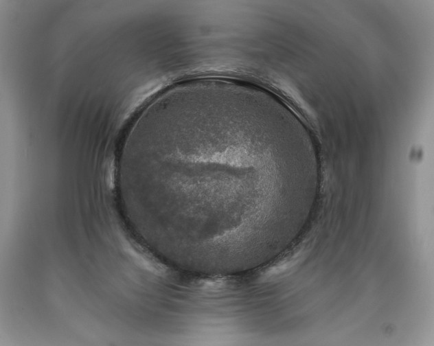 X0000090440068200707201302