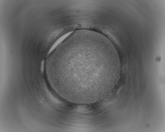 X0000090440070200707201302