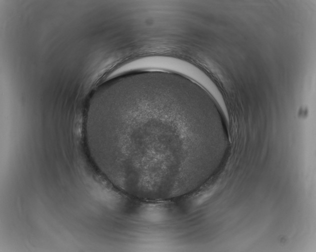 X0000090440072200707201302