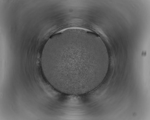 X0000090440073200707201302