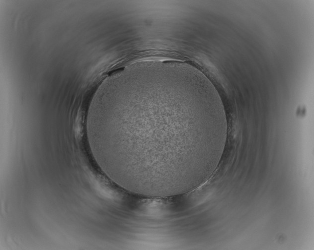 X0000090440074200707201302