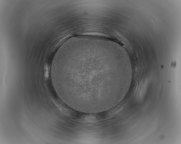 X0000090440075200707201302