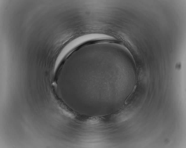 X0000090440076200707201302