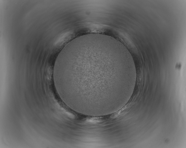 X0000090440078200707201302