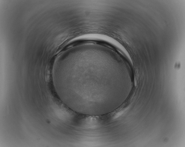 X0000090440080200707201302