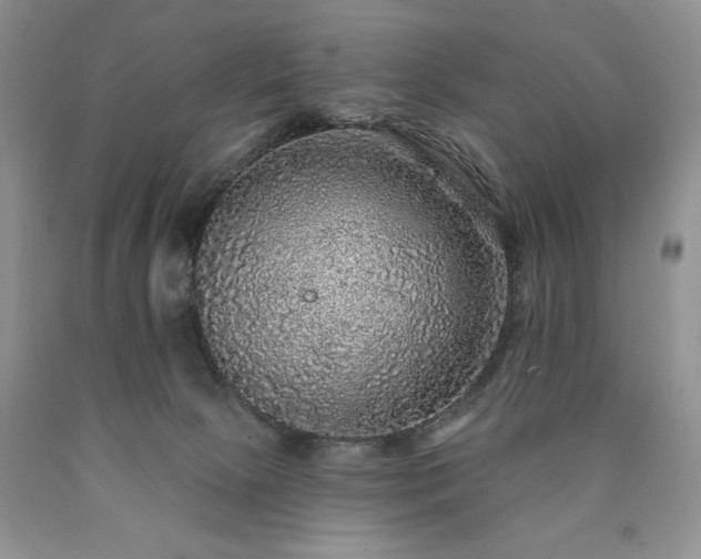 X0000090440081200707201302