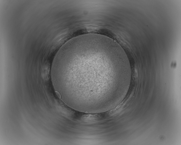 X0000090440082200707201302