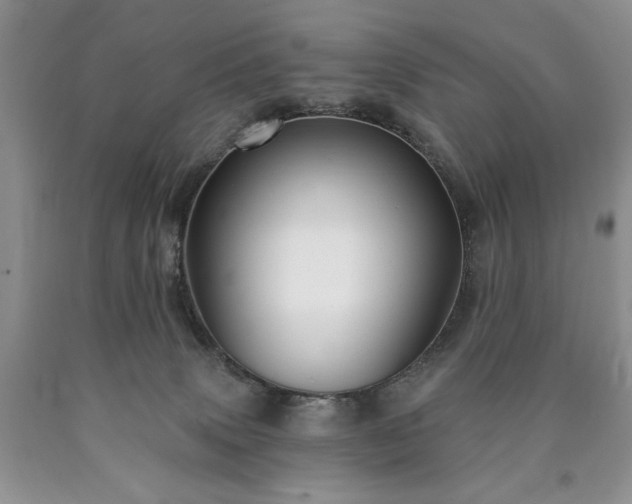 X0000090440083200707201302